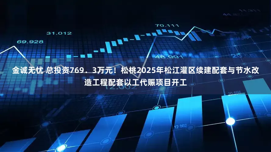金诚无忧 总投资769．3万元！松桃2025年松江灌区续建配套与节水改造工程配套以工代赈项目开工