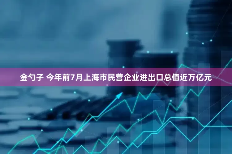 金勺子 今年前7月上海市民营企业进出口总值近万亿元