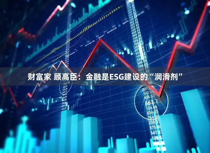 财富家 顾高臣：金融是ESG建设的“润滑剂”